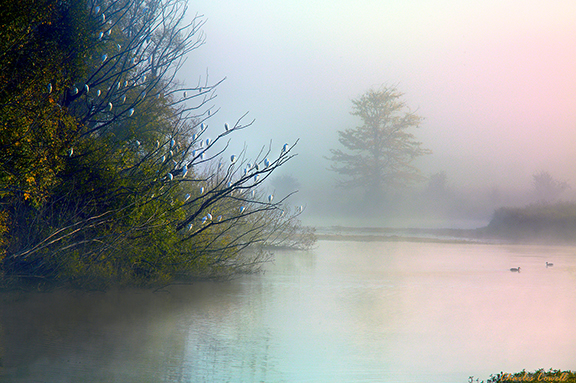 Town Farm Billabong