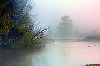 Town Farm Billabong