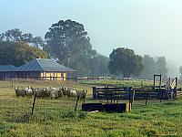 Belgenny Farm