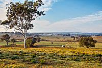 Cawdor Valley